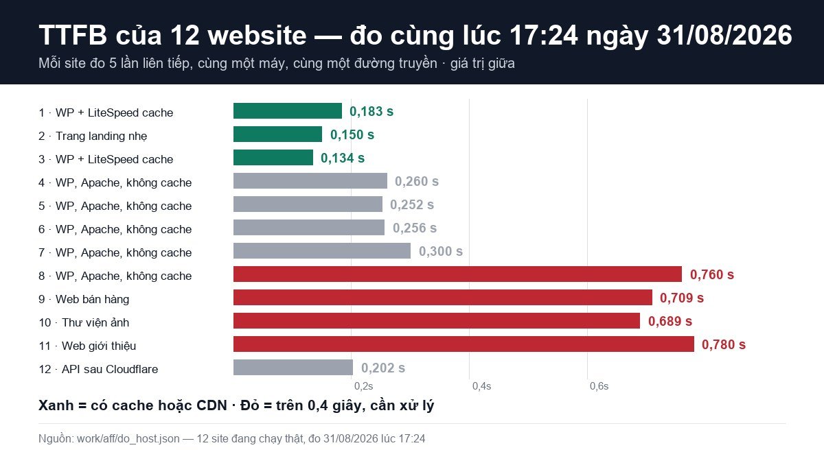 Biểu đồ TTFB 12 website: nhanh nhất 0,134 giây có LiteSpeed cache, chậm nhất 0,780 giây