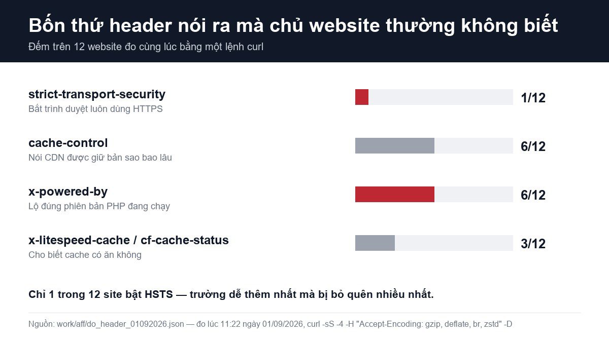 Biểu đồ đếm bốn trường header trên 12 website: 1 site có HSTS, 6 site gửi cache-control, 6 site để lộ x-powered-by, 3 site có header trạng thái cache