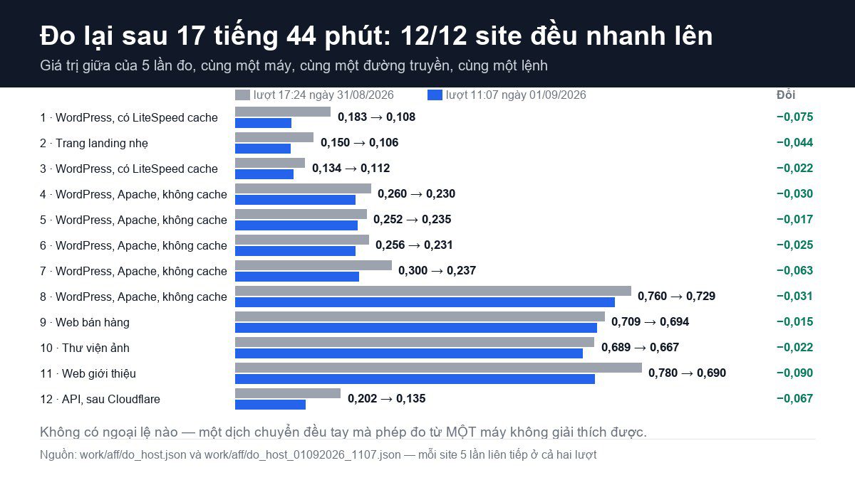 Biểu đồ so sánh TTFB giá trị giữa của 12 website ở hai lượt đo: cả 12 site đều nhanh hơn ở lượt sau, mức cải thiện từ 0,015 đến 0,090 giây