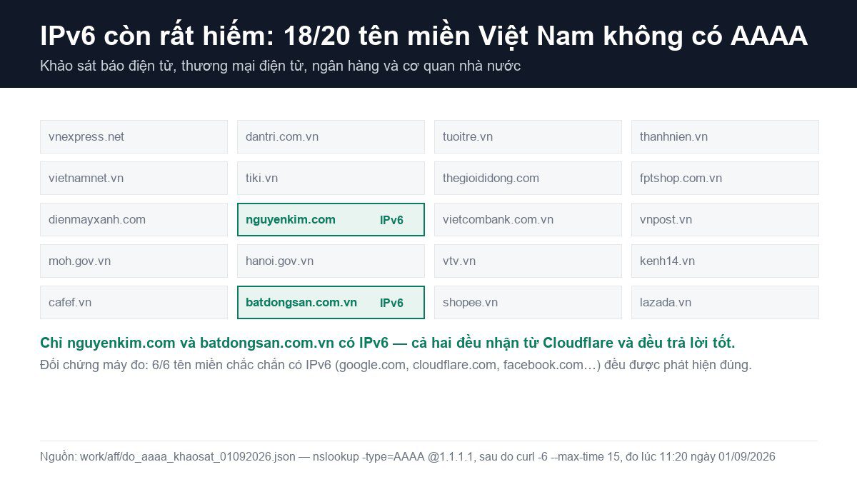 Bảng 20 tên miền Việt Nam: chỉ nguyenkim.com và batdongsan.com.vn có bản ghi AAAA, 18 tên miền còn lại không có