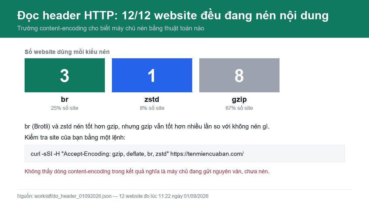 Biểu đồ đếm cách nén của 12 website: 3 site dùng br, 1 site dùng zstd, 8 site dùng gzip