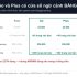“210.000đ/người/tháng” — chỗ hoá đơn phần mềm phình ra mà không ai để ý