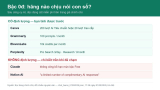 Bậc 0đ của 6 công cụ AI thật sự cho bạn cái gì