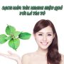 Kem trị tàn nhang Hàn Quốc